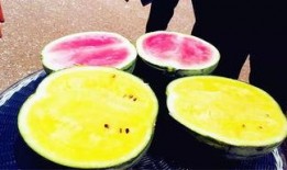 爆料网吃瓜最新,明星大揭秘，真相令人震惊！