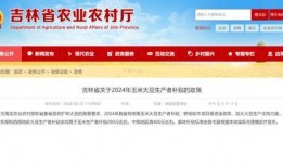 长沙工友最新爆料信息,揭秘某项目背后惊人内幕